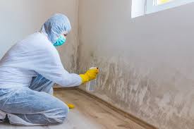 Environmental Consulting for Mold Prevention in Churubusco, IN